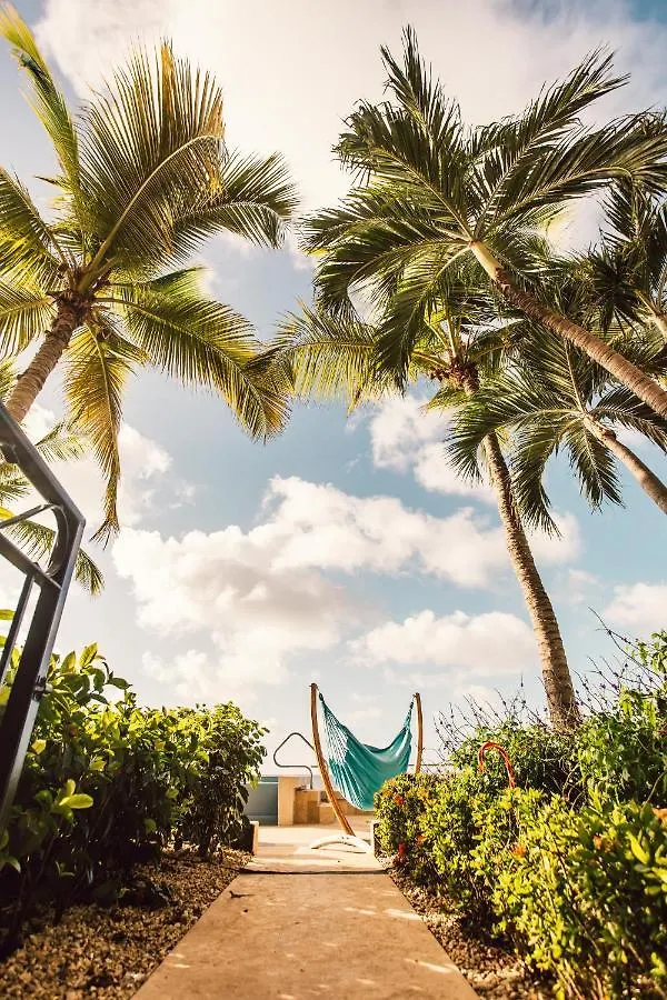 The Bellafonte - Luxury Oceanfront Hotel Playa